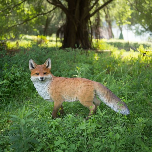 Fox walking garden statue life - walking,