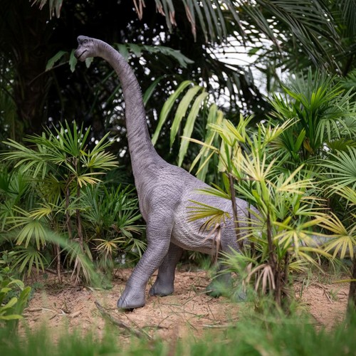 Brachiosaurus dinosaur garden - brachiosaurus,